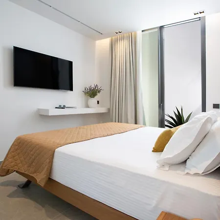 Pothos - Afroditi Collection