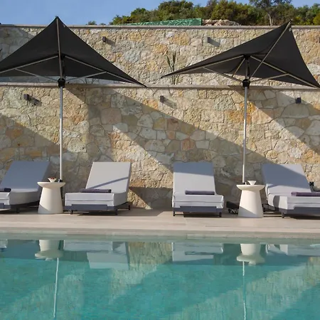 Pothos - Afroditi Collection *